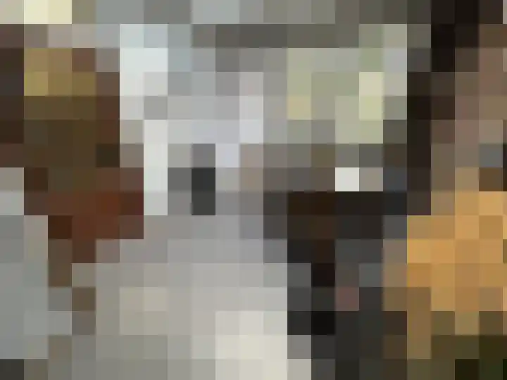 Houwer 18 Landgraaf thumbnail 13