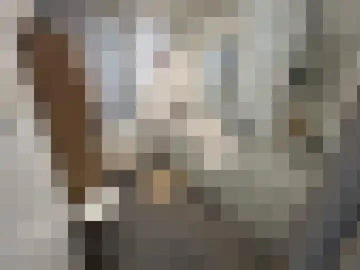 Houwer 18 Landgraaf thumbnail 22