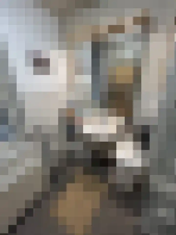 Houwer 18 Landgraaf thumbnail 23
