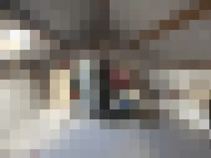 Houwer 18 Landgraaf thumbnail 24