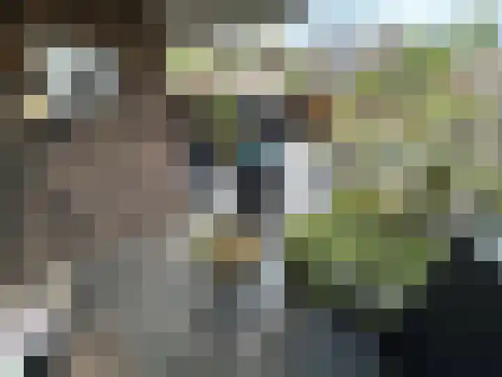 Houwer 18 Landgraaf thumbnail 5