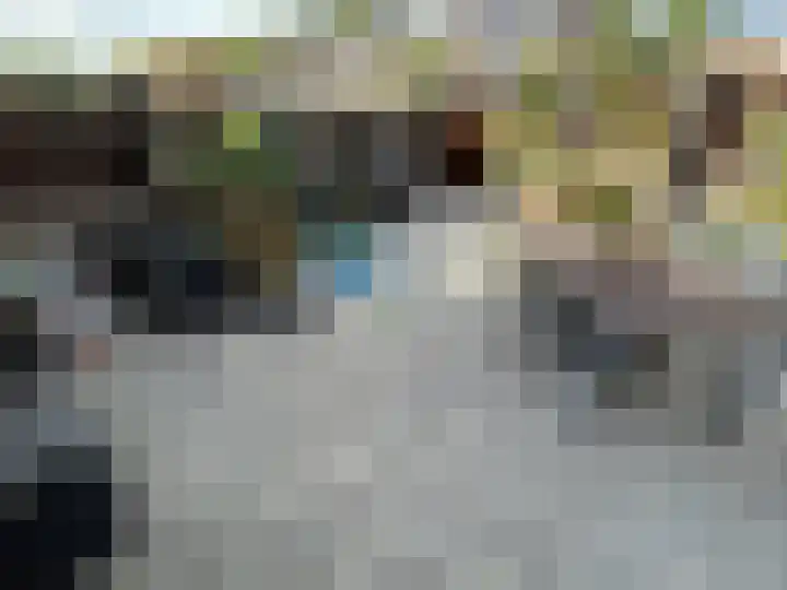 Houwer 18 Landgraaf thumbnail 7
