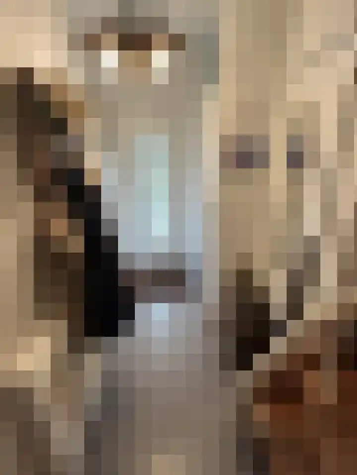 Houwer 18 Landgraaf thumbnail 9