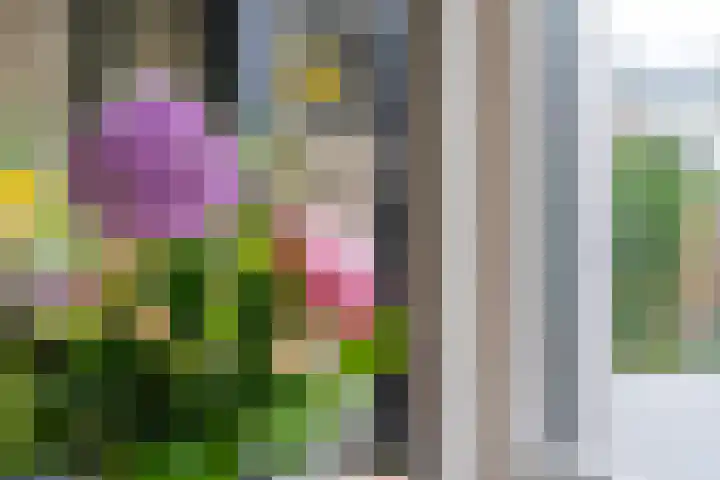 Hövelstraat 2 Beek thumbnail 13