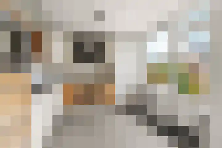 Hövelstraat 2 Beek thumbnail 15