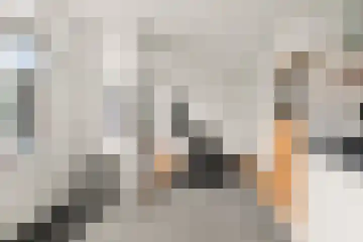 Hövelstraat 2 Beek thumbnail 18