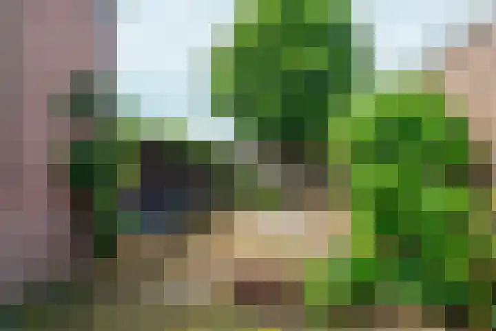 Hövelstraat 2 Beek thumbnail 35