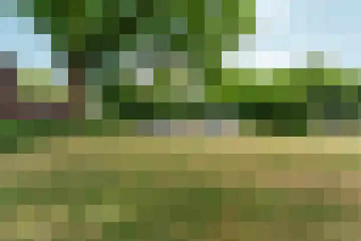 Hövelstraat 2 Beek thumbnail 47