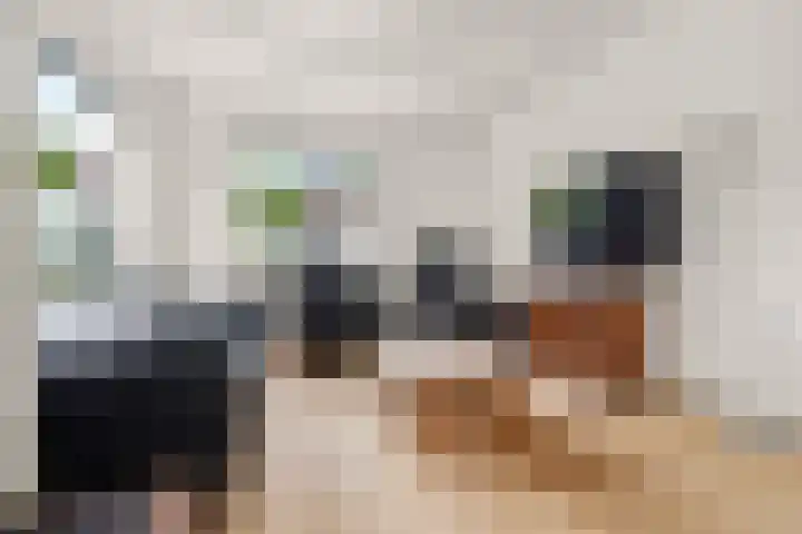Hövelstraat 2 Beek thumbnail 9