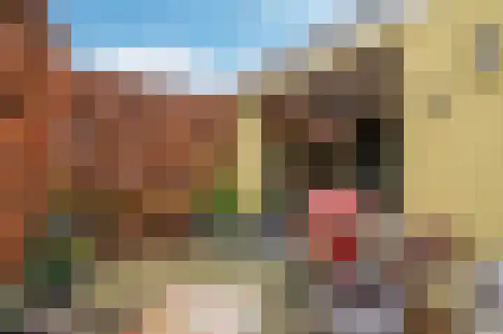 Hoverhofweg 3 Venlo thumbnail 22