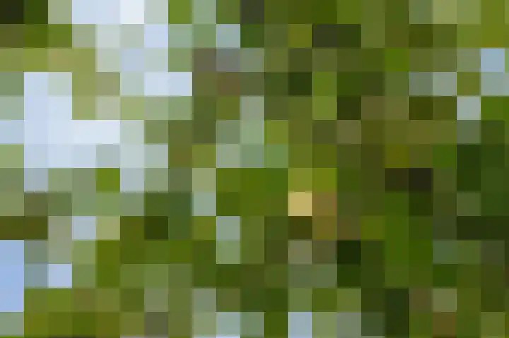 Hovinge 3 Zuidlaren thumbnail 10