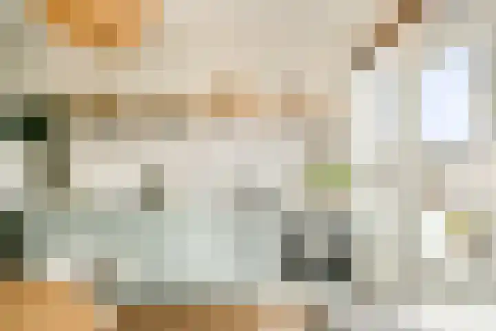 Hovinge 3 Zuidlaren thumbnail 11