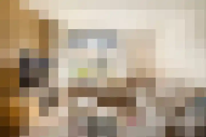 Hovinge 3 Zuidlaren thumbnail 12