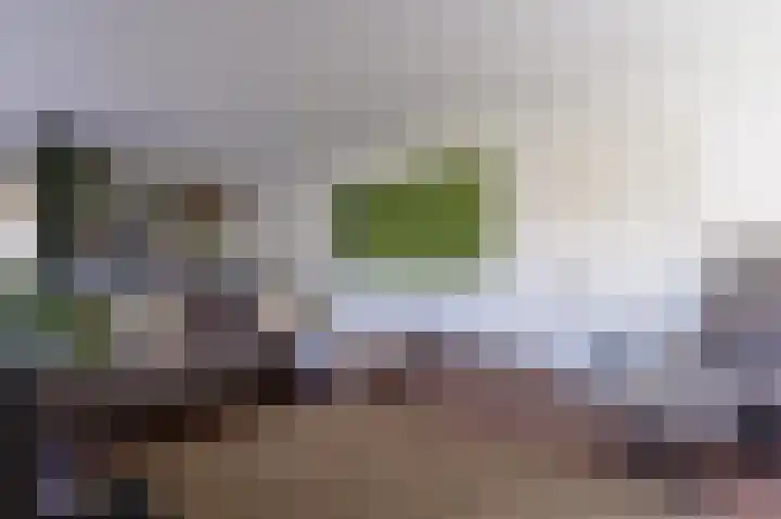 Hovinge 3 Zuidlaren thumbnail 14