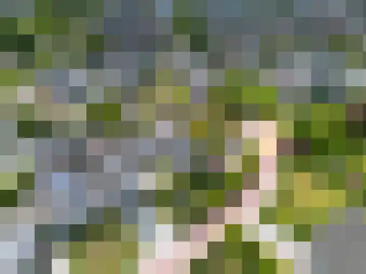 Hovinge 3 Zuidlaren thumbnail 15