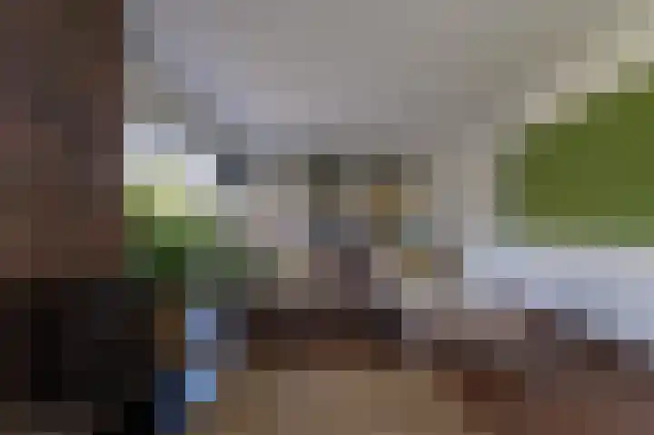 Hovinge 3 Zuidlaren thumbnail 15
