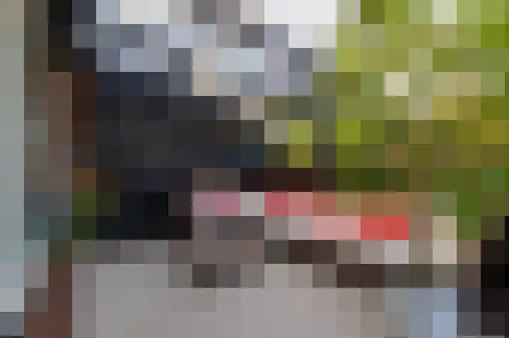 Hovinge 3 Zuidlaren thumbnail 20