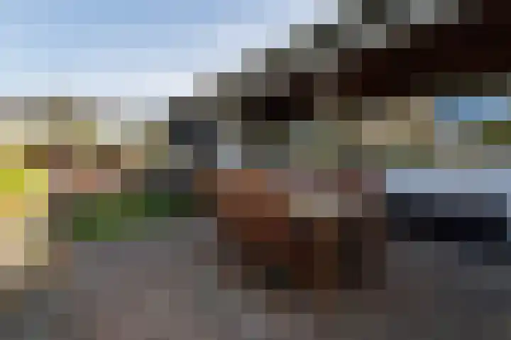 Hovinge 3 Zuidlaren thumbnail 21