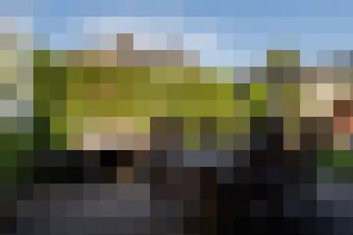 Hovinge 3 Zuidlaren thumbnail 22