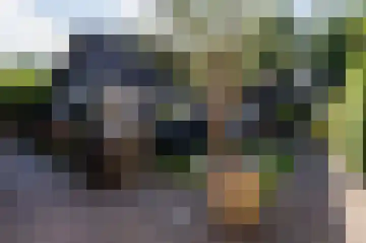 Hovinge 3 Zuidlaren thumbnail 24