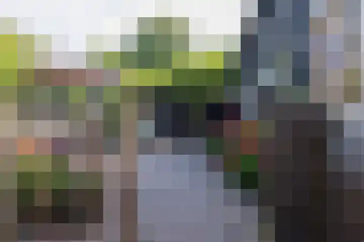 Hovinge 3 Zuidlaren thumbnail 25