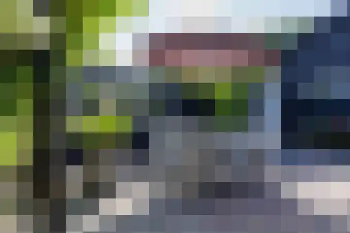 Hovinge 3 Zuidlaren thumbnail 27