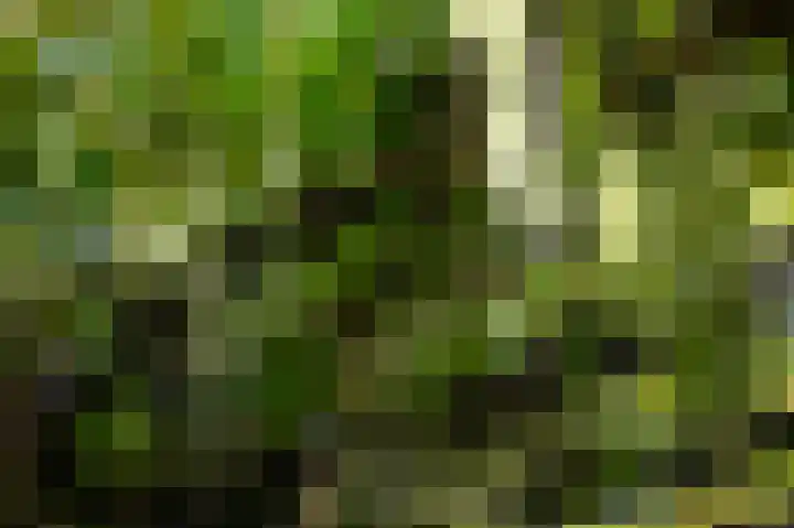 Hovinge 3 Zuidlaren thumbnail 30