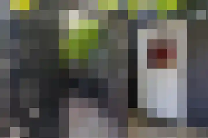 Hovinge 3 Zuidlaren thumbnail 31