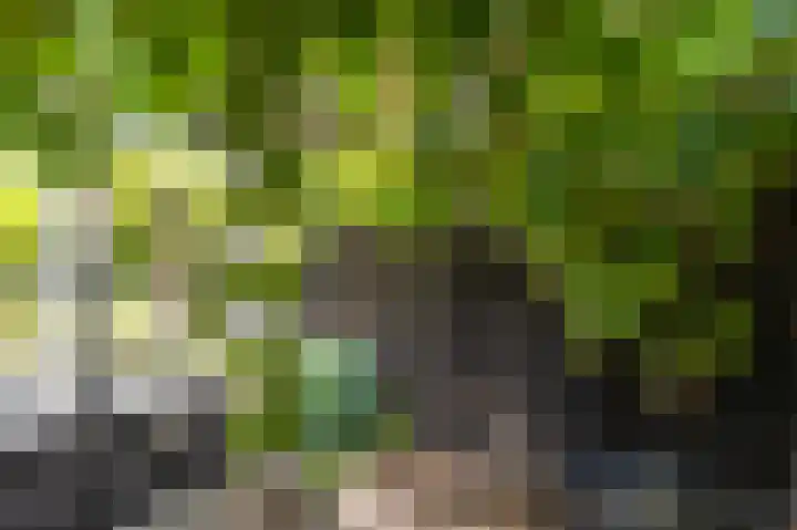Hovinge 3 Zuidlaren thumbnail 33