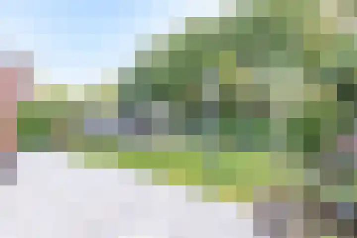 Hovinge 3 Zuidlaren thumbnail 34