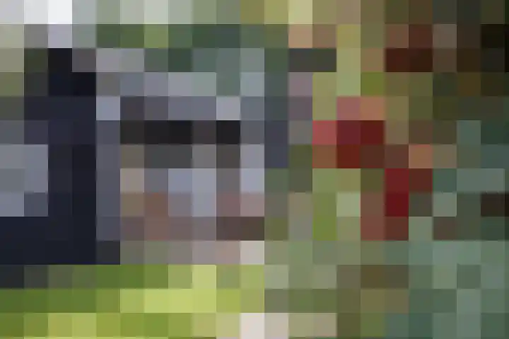 Hovinge 3 Zuidlaren thumbnail 4