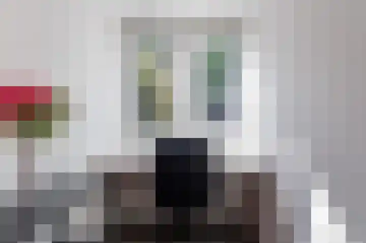 Hovinge 3 Zuidlaren thumbnail 40