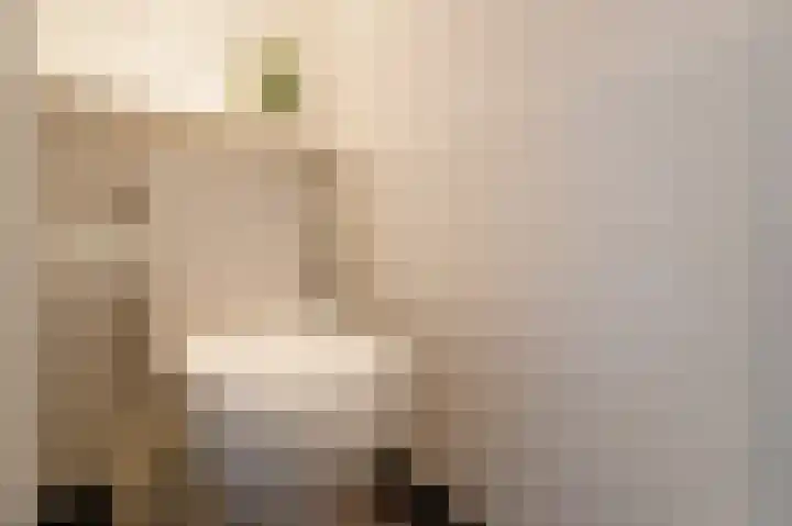Hovinge 3 Zuidlaren thumbnail 44