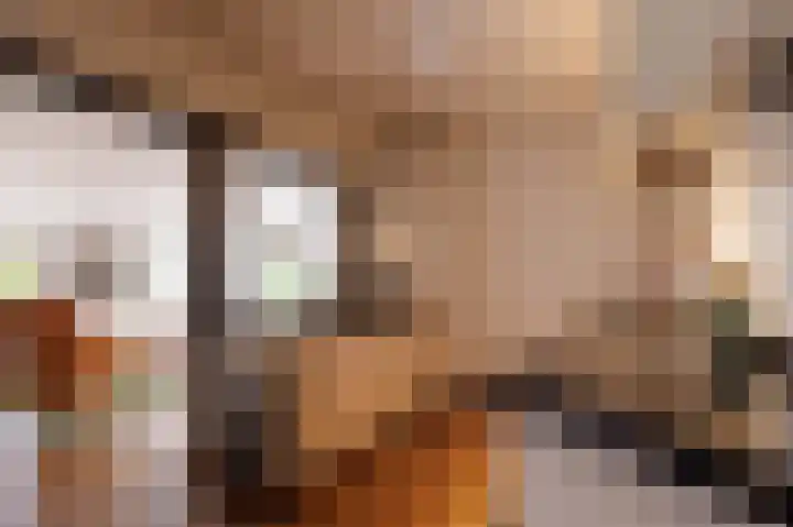 Hovinge 3 Zuidlaren thumbnail 49