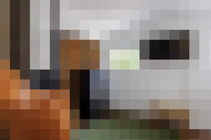 Hovinge 3 Zuidlaren thumbnail 56