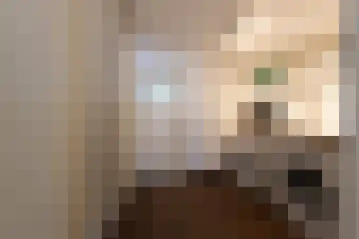 Hovinge 3 Zuidlaren thumbnail 58