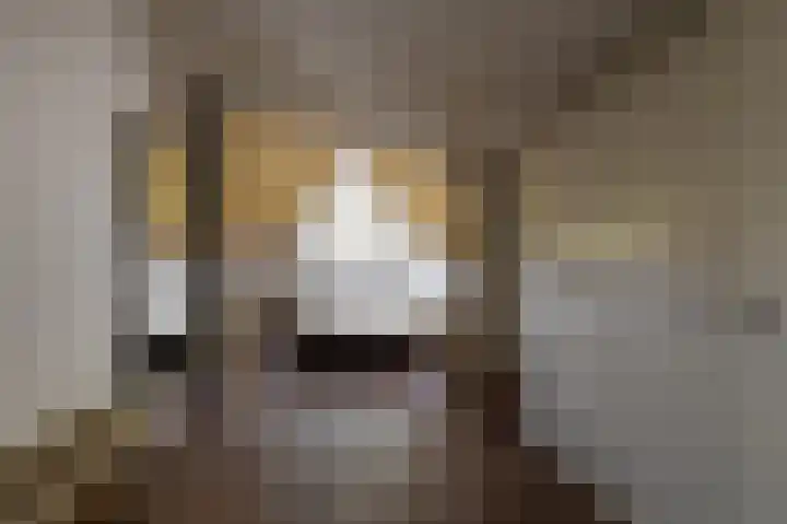 Hovinge 3 Zuidlaren thumbnail 59