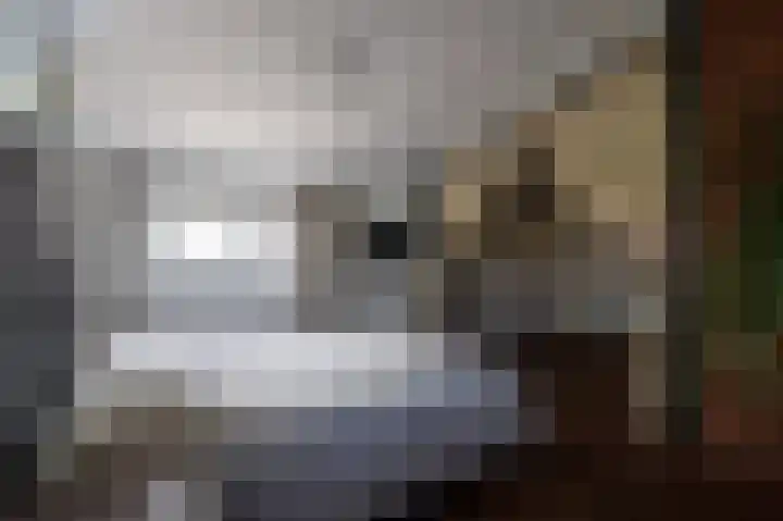 Hovinge 3 Zuidlaren thumbnail 60