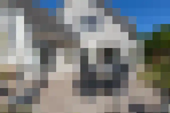 Hovinge 3 Zuidlaren thumbnail 61