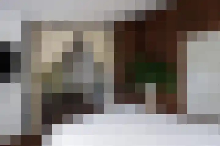 Hovinge 3 Zuidlaren thumbnail 61