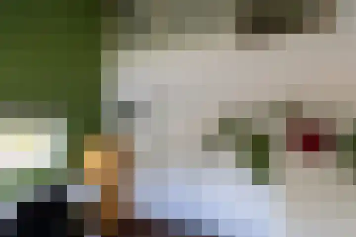 Hovinge 3 Zuidlaren thumbnail 71