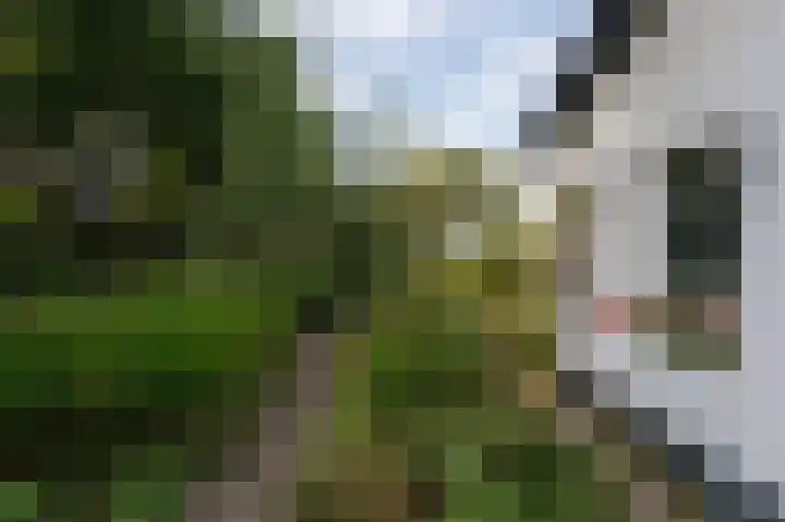 Hovinge 3 Zuidlaren thumbnail 8
