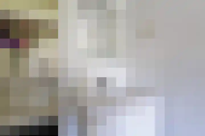 Hovinge 3 Zuidlaren thumbnail 83