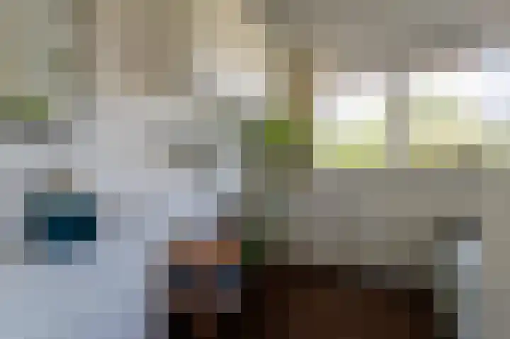 Hovinge 3 Zuidlaren thumbnail 86