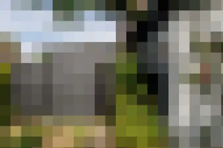 Hovinge 3 Zuidlaren thumbnail 9