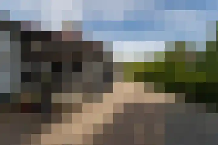 Hovinge 3 Zuidlaren thumbnail 91