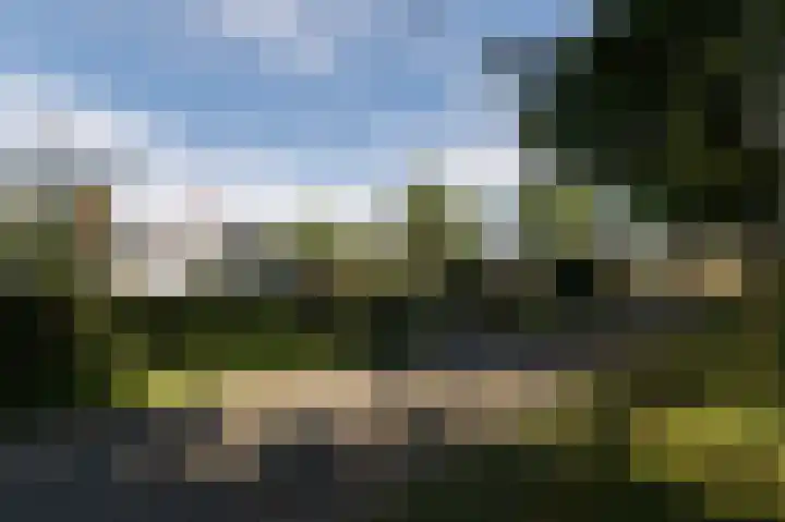 Hovinge 3 Zuidlaren thumbnail 92