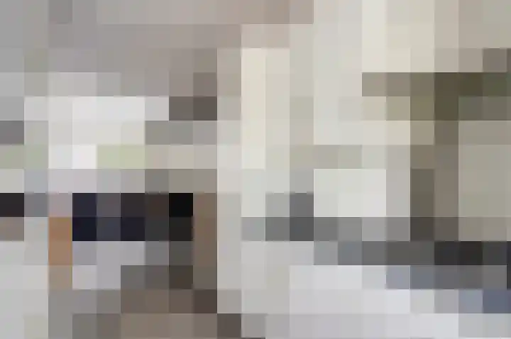 Hoxma 32 Grou thumbnail 15