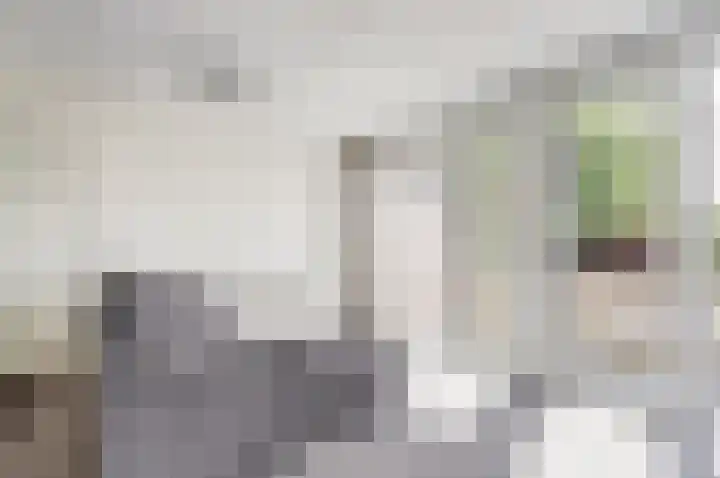Hoxma 32 Grou thumbnail 19