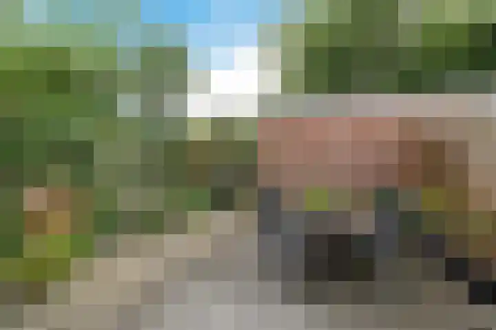 Hoxma 54 Grou thumbnail 27
